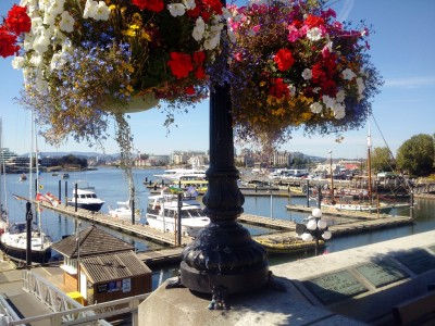 Flowers adorn Victoria BC Harbour
